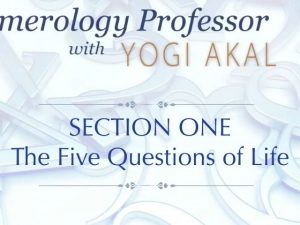 NP The Five Qs of Life.jpg