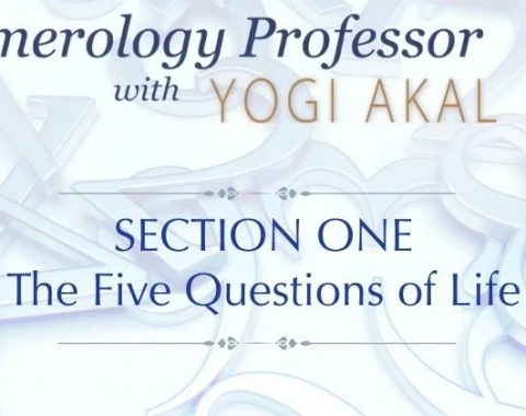 Numerology Professor – SECTION 1  The Five Questions Of Life