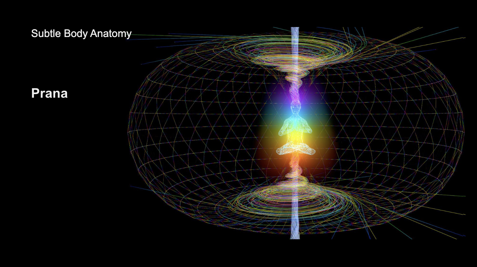 Screenshot 2026-02-23 at 3.56.29 PM.png